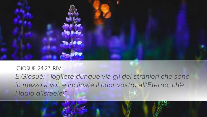 Giosué 24:23 RIV Bible Verse Image