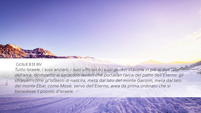 Giosué 8:33 RIV Bible Verse Image