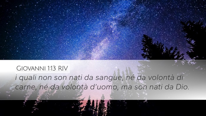 Giovanni 1:13 RIV Bible Verse Image