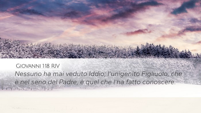 Giovanni 1:18 RIV Bible Verse Image