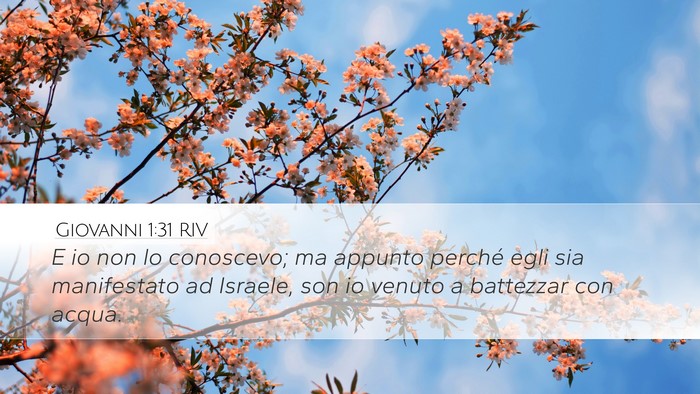 Giovanni 1:31 RIV Bible Verse Image
