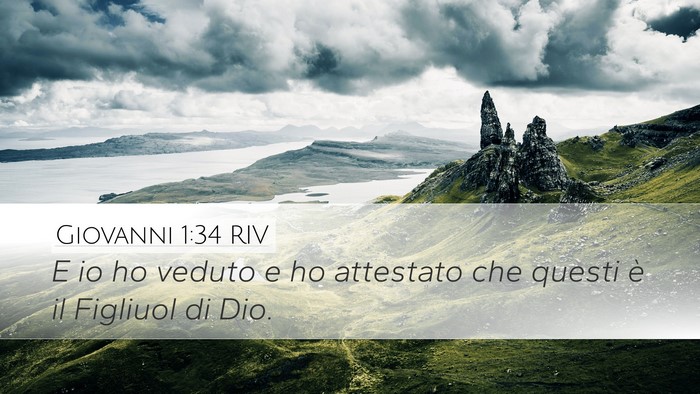 Giovanni 1:34 RIV Bible Verse Image