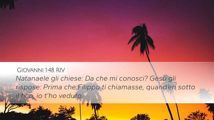 Giovanni 1:48 RIV Bible Verse Image