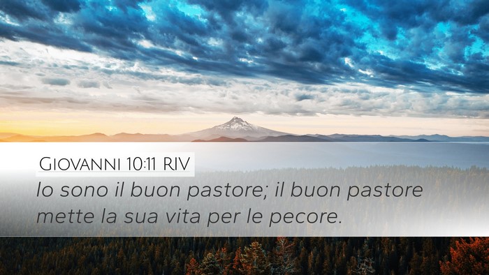 Giovanni 10:11 RIV Bible Verse Image