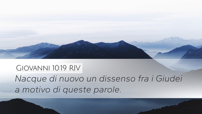 Giovanni 10:19 RIV Bible Verse Image