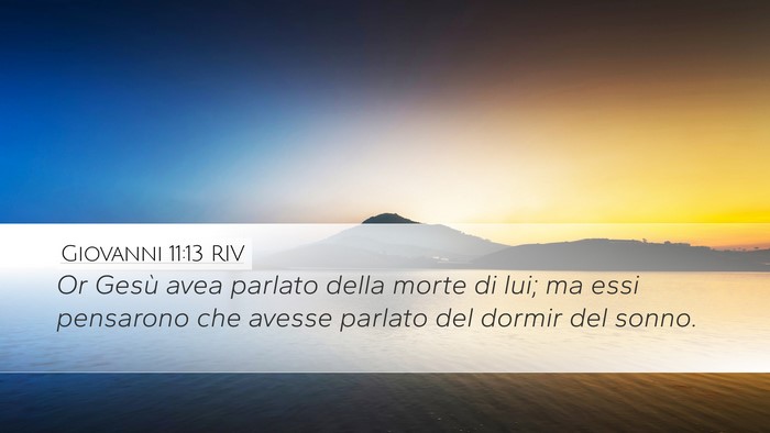 Giovanni 11:13 RIV Bible Verse Image
