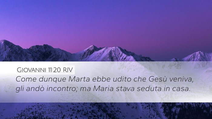Giovanni 11:20 RIV Desktop Wallpaper - Come dunque Marta ebbe udito che Gesù veniva, - Desktop Bible Verse Wallpaper