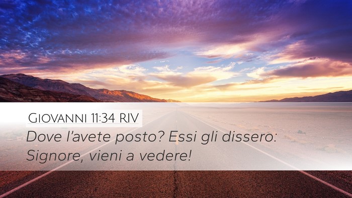 Giovanni 11:34 RIV Desktop Wallpaper - Dove l’avete posto? Essi gli dissero: Signore, - Desktop Bible Verse Wallpaper
