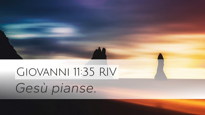 Giovanni 11:35 RIV Bible Verse Image