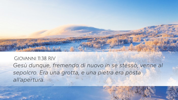 Giovanni 11:38 RIV Desktop Wallpaper - Gesù dunque, fremendo di nuovo in se stesso, - Desktop Bible Verse Wallpaper