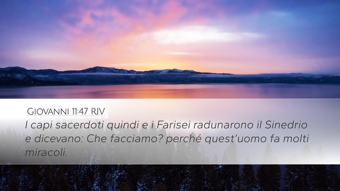Giovanni 11:47 RIV Bible Verse Image