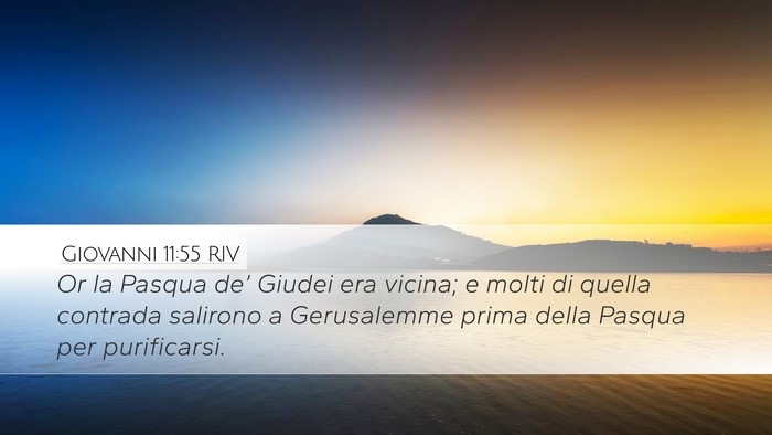Giovanni 11:55 RIV Bible Verse Image
