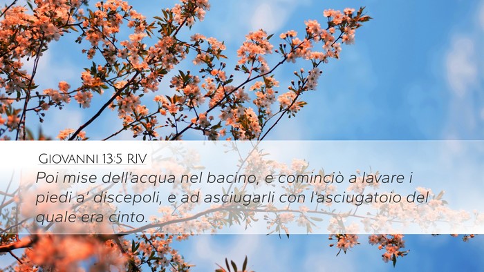 Giovanni 13:5 RIV Bible Verse Image