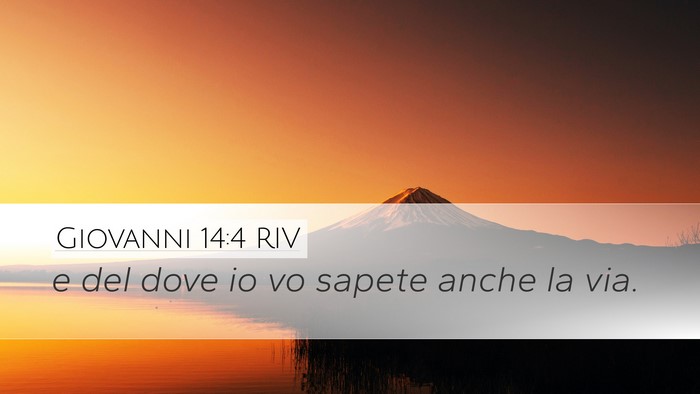 Giovanni 14:4 RIV Bible Verse Image