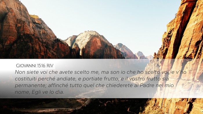 Giovanni 15:16 RIV Bible Verse Image