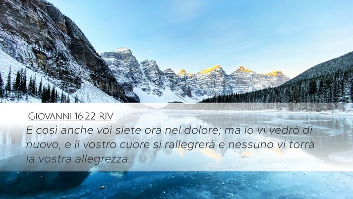 Giovanni 16:22 RIV Bible Verse Image