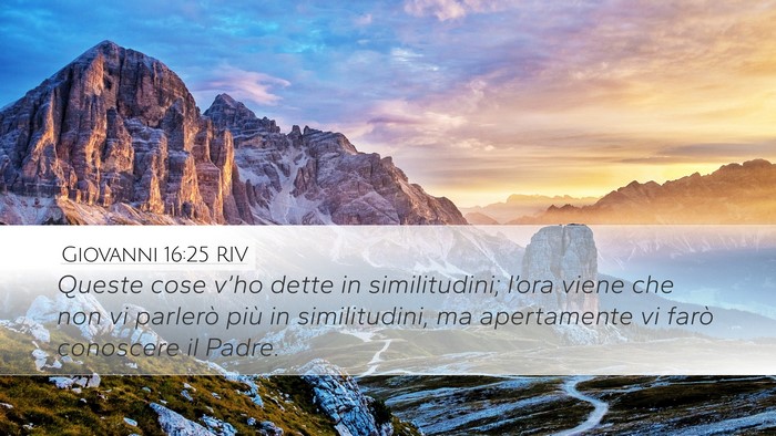 Giovanni 16:25 RIV Bible Verse Image