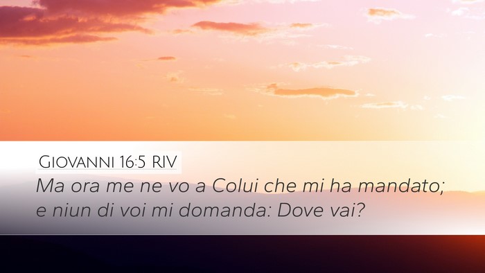 Giovanni 16:5 RIV Bible Verse Image
