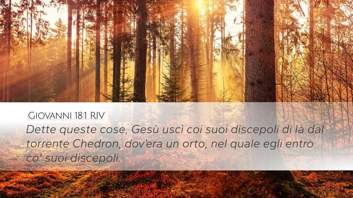 Giovanni 18:1 RIV Bible Verse Image