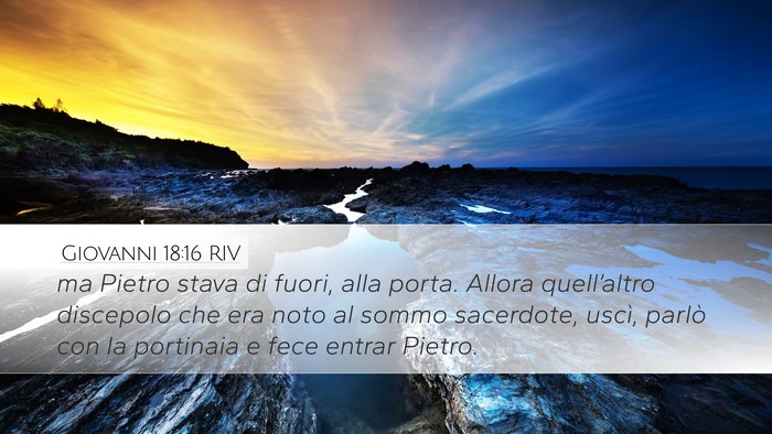 Giovanni 18:16 RIV Bible Verse Image