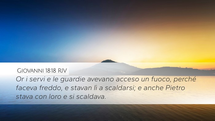 Giovanni 18:18 RIV Bible Verse Image