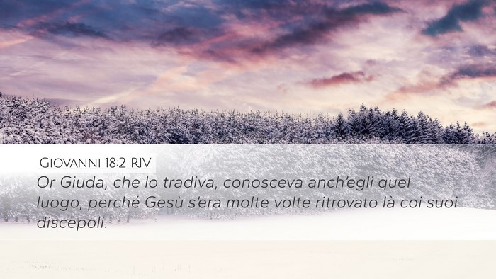 Giovanni 18:2 RIV Bible Verse Image