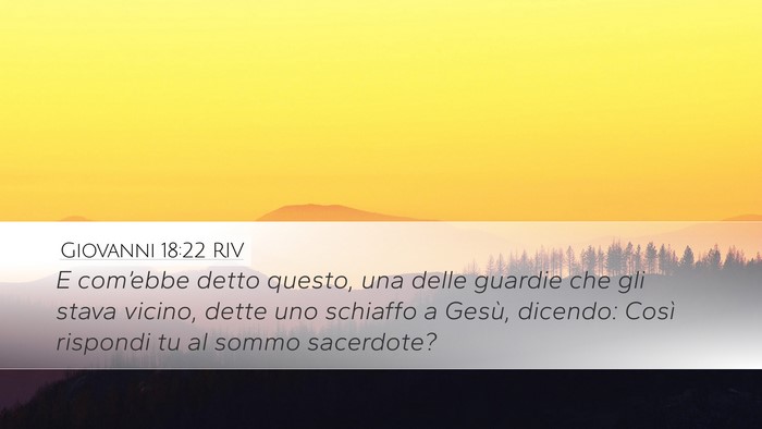 Giovanni 18:22 RIV Bible Verse Image