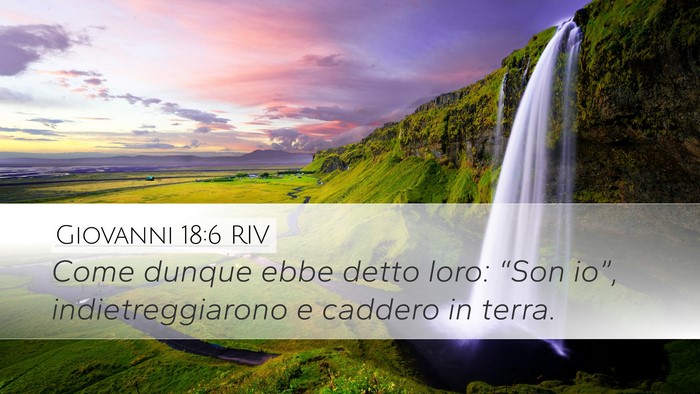 Giovanni 18:6 RIV Bible Verse Image