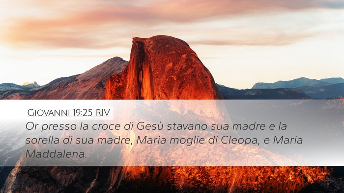 Giovanni 19:25 RIV Bible Verse Image