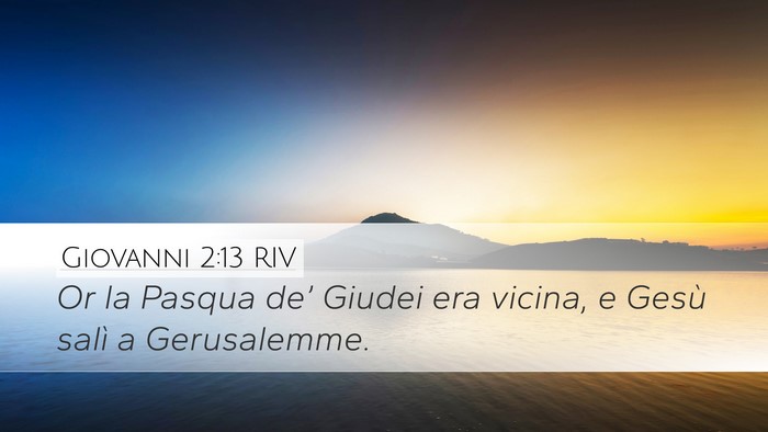 Giovanni 2:13 RIV Bible Verse Image