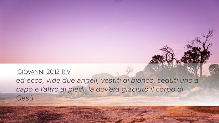 Giovanni 20:12 RIV Bible Verse Image