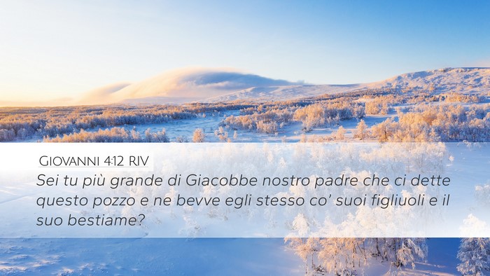 Giovanni 4:12 RIV Bible Verse Image
