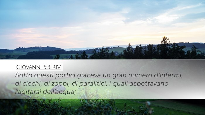Giovanni 5:3 RIV Bible Verse Image