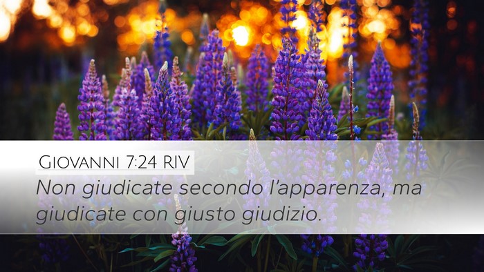 Giovanni 7:24 RIV Bible Verse Image