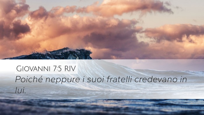 Giovanni 7:5 RIV Bible Verse Image