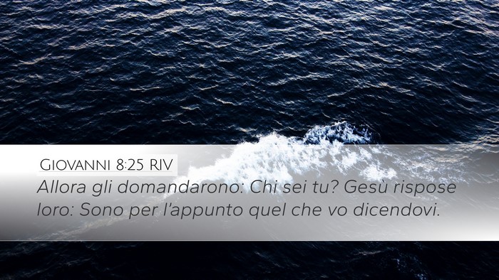 Giovanni 8:25 RIV Bible Verse Image