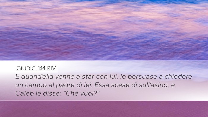 Giudici 1:14 RIV Bible Verse Image