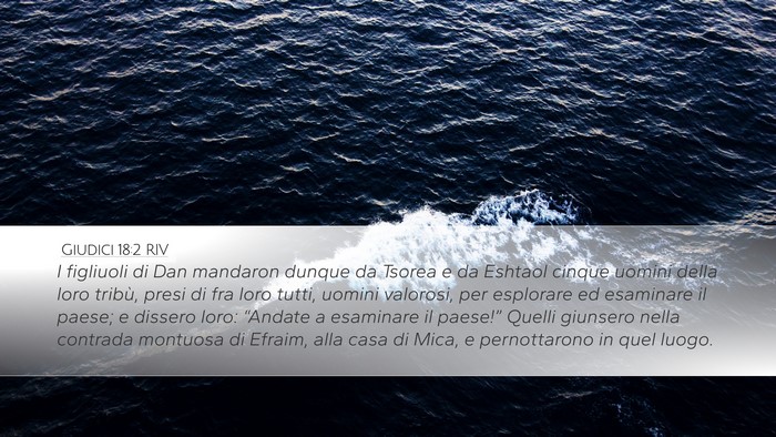 Giudici 18:2 RIV Bible Verse Image