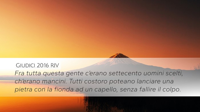 Giudici 20:16 RIV Bible Verse Image