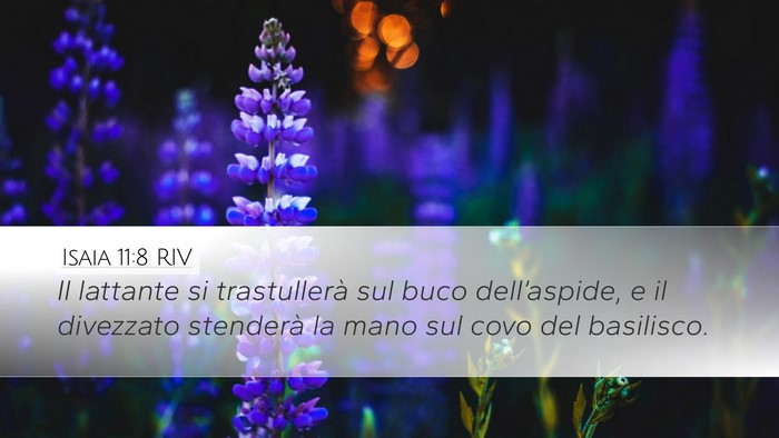 Isaia 11:8 RIV Bible Verse Image
