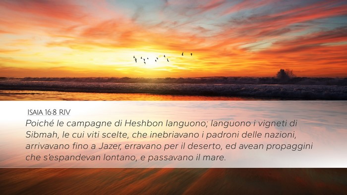 Isaia 16:8 RIV Bible Verse Image