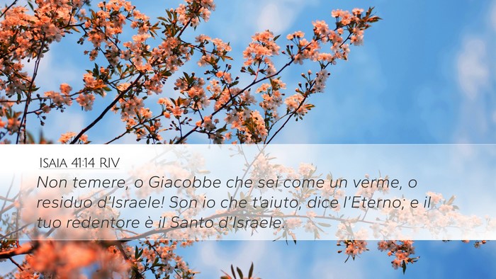 Isaia 41:14 RIV Bible Verse Image