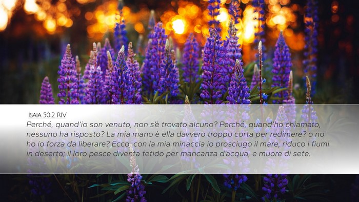 Isaia 50:2 RIV Bible Verse Image