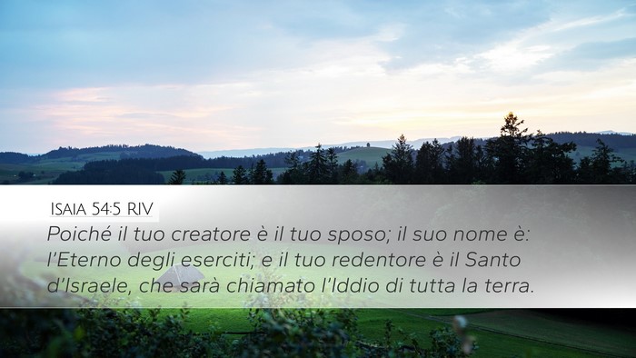 Isaia 54:5 RIV Bible Verse Image