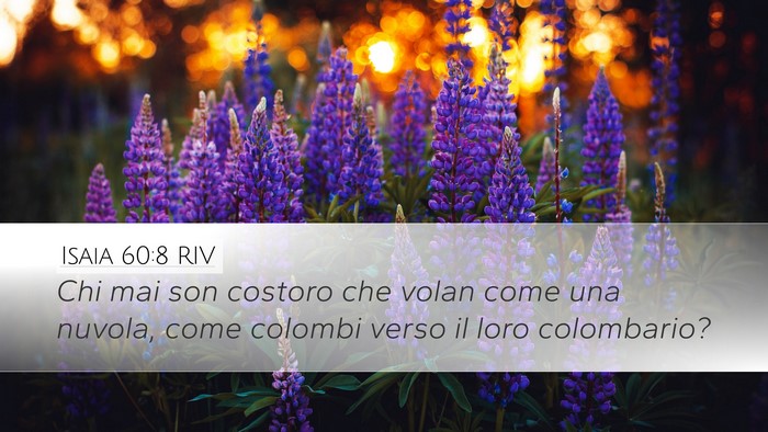 Isaia 60:8 RIV Bible Verse Image