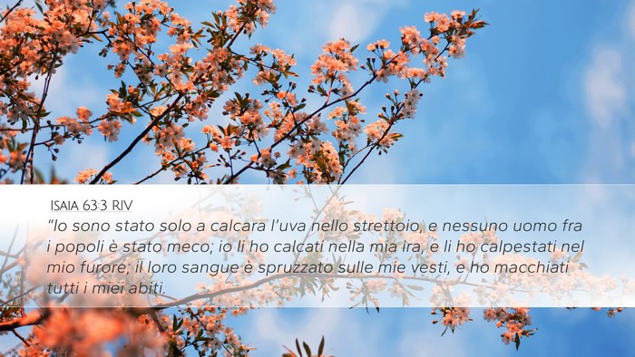 Isaia 63:3 RIV Bible Verse Image