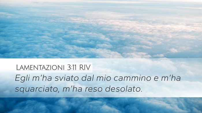 Lamentazioni 3:11 RIV Bible Verse Image