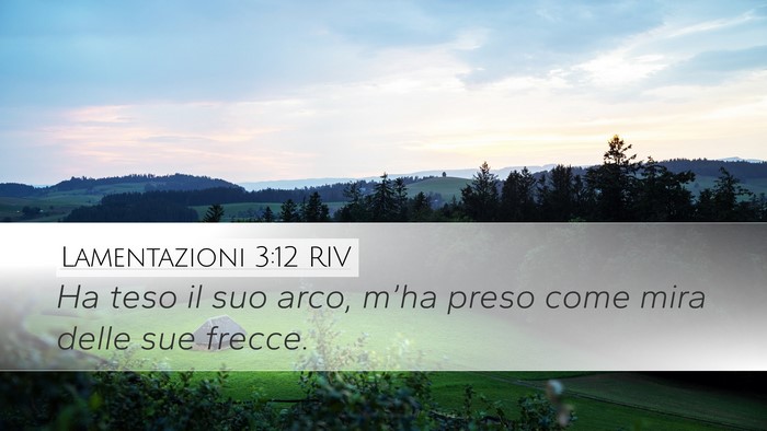 Lamentazioni 3:12 RIV Bible Verse Image