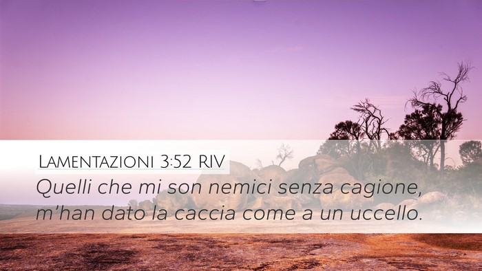 Lamentazioni 3:52 RIV Bible Verse Image