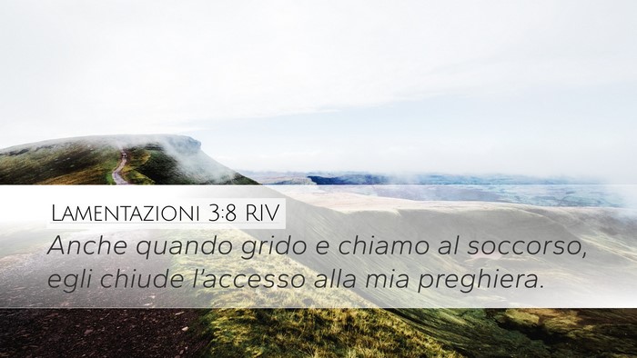 Lamentazioni 3:8 RIV Bible Verse Image